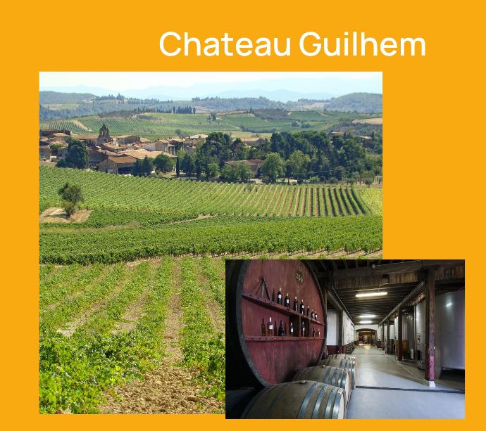 Tasting pack Chateau Guilhem wines