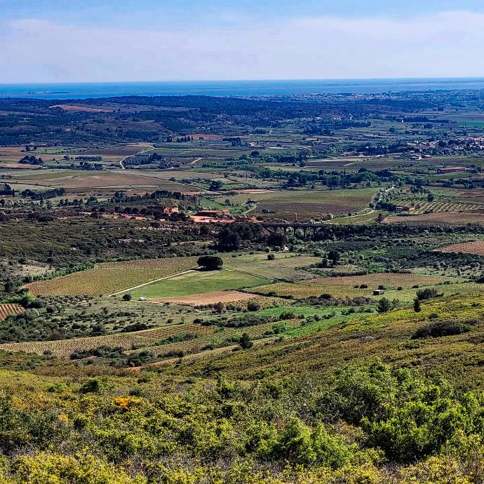 landscape villeveyrac hérault france domaine de roquemale vines