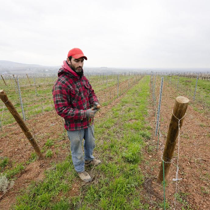 Jean Baptiste Bachevillier, Domaine de Mont Joly winemaker