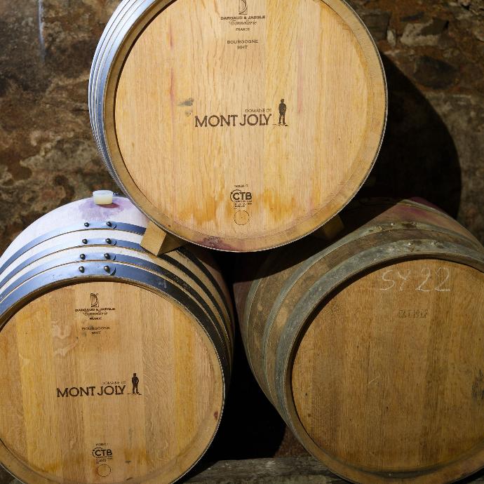 Woode Barrels winery domaine de Mont joly Beaujolais France