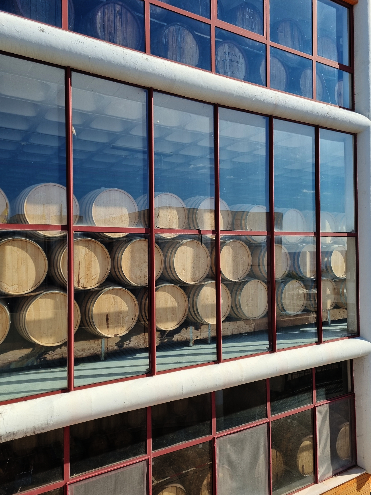 Madeira wine barrels in the sun