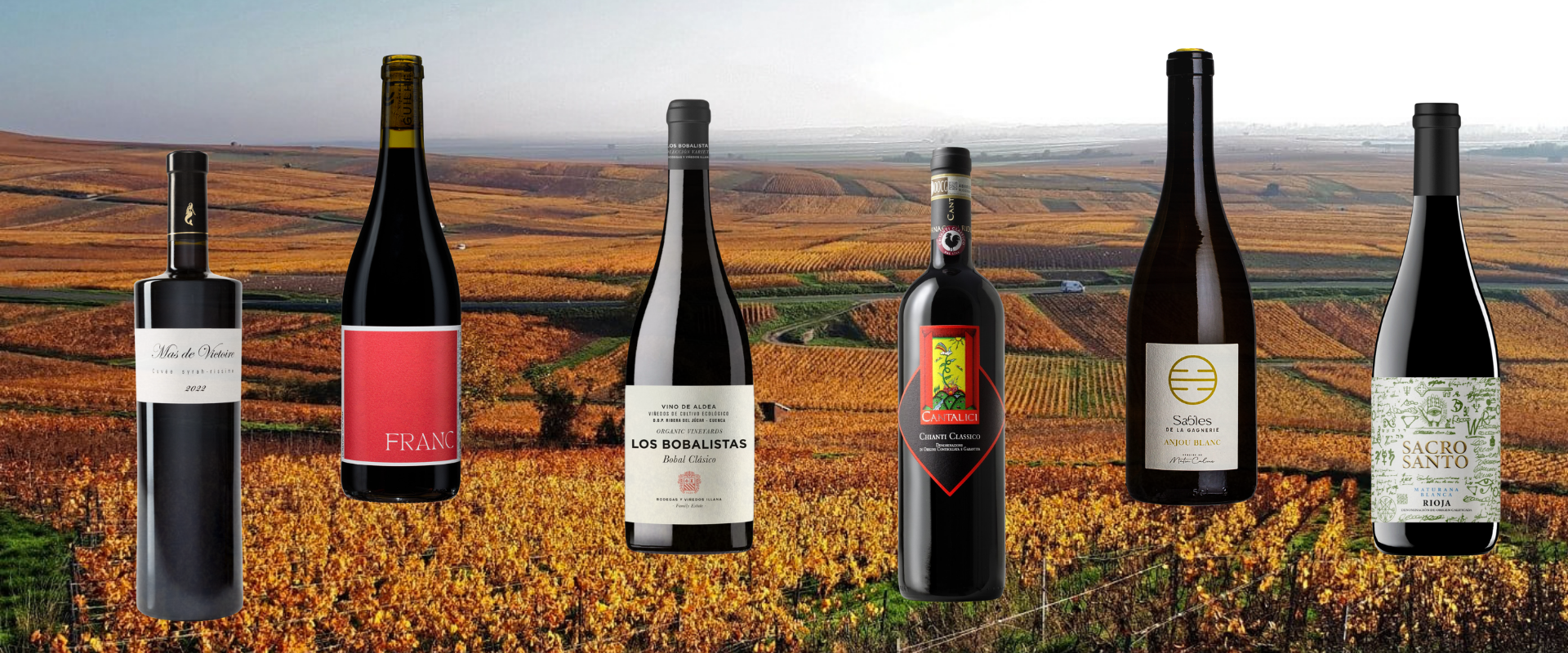 champagne wijngaarden in de herfst