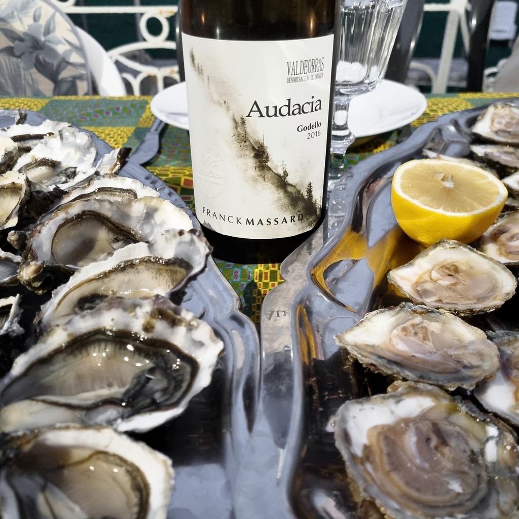 Audacia Godello 2016 Oesters / Huitres