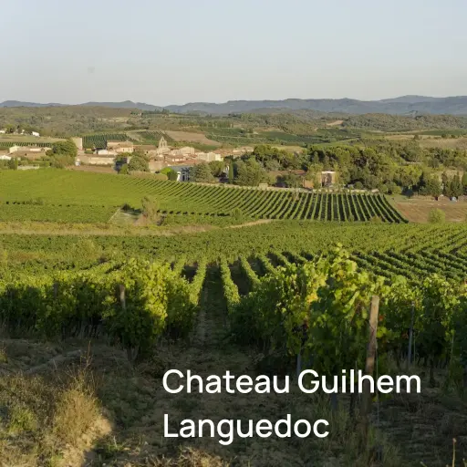 [PRF16-0013] Pack dégustation Chateau Guilhem